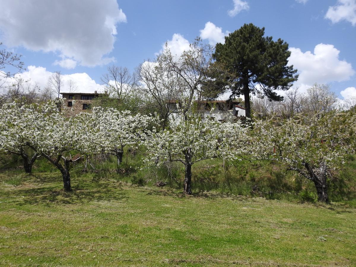 Casas Arbillas Arenas de San Pedro Bagian luar foto
